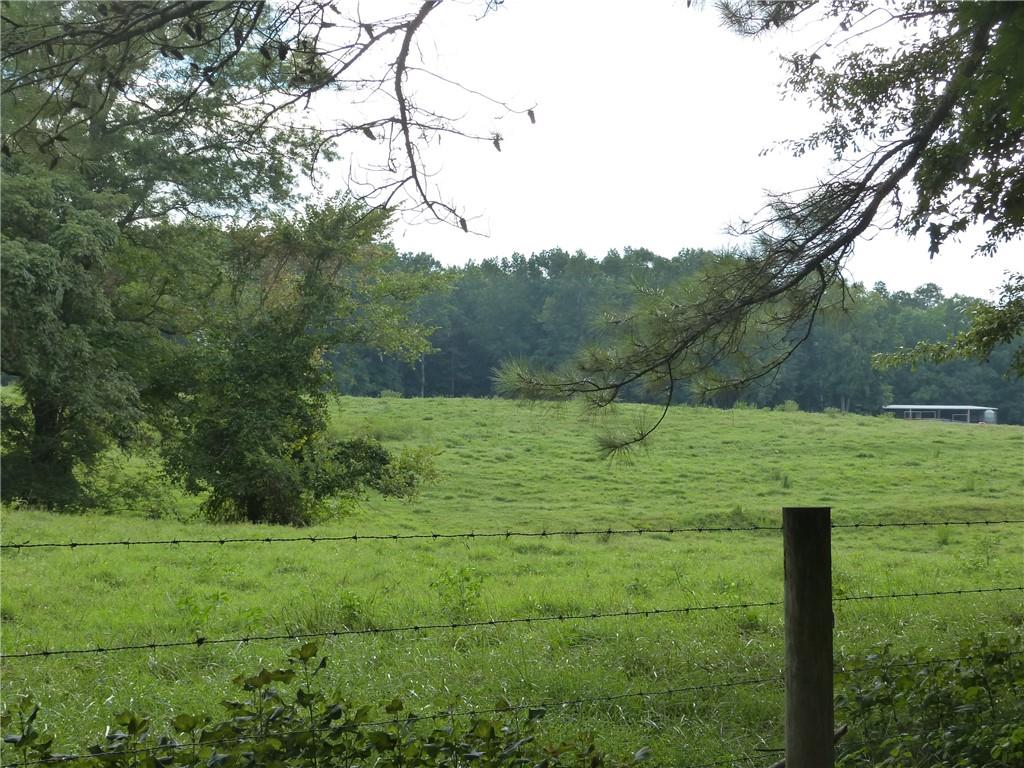 1650 Locklin Cemetery Road Property Photo 28