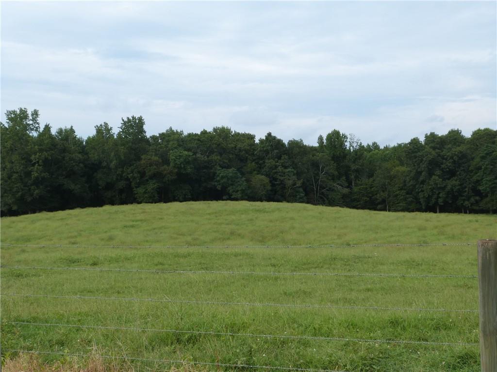 1650 Locklin Cemetery Road Property Photo 29