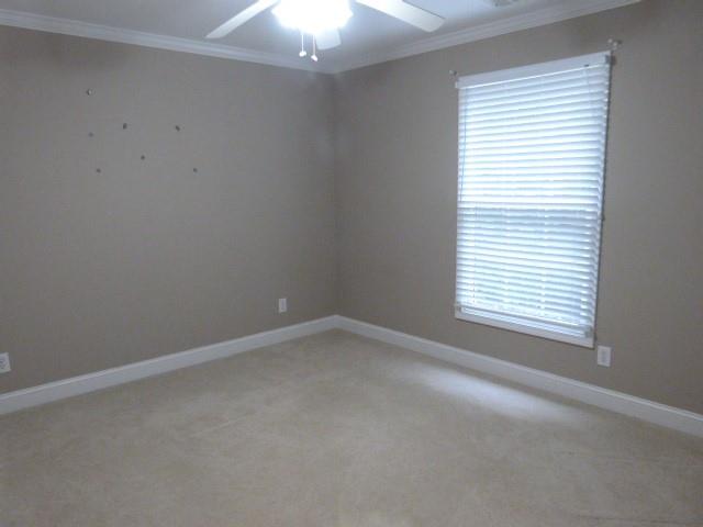 1650 Locklin Cemetery Road Property Photo 64
