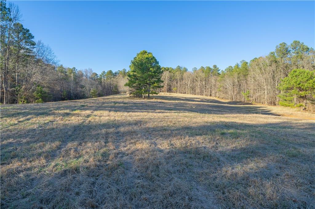 2000 Dabbs Bridge Road Property Photo 1