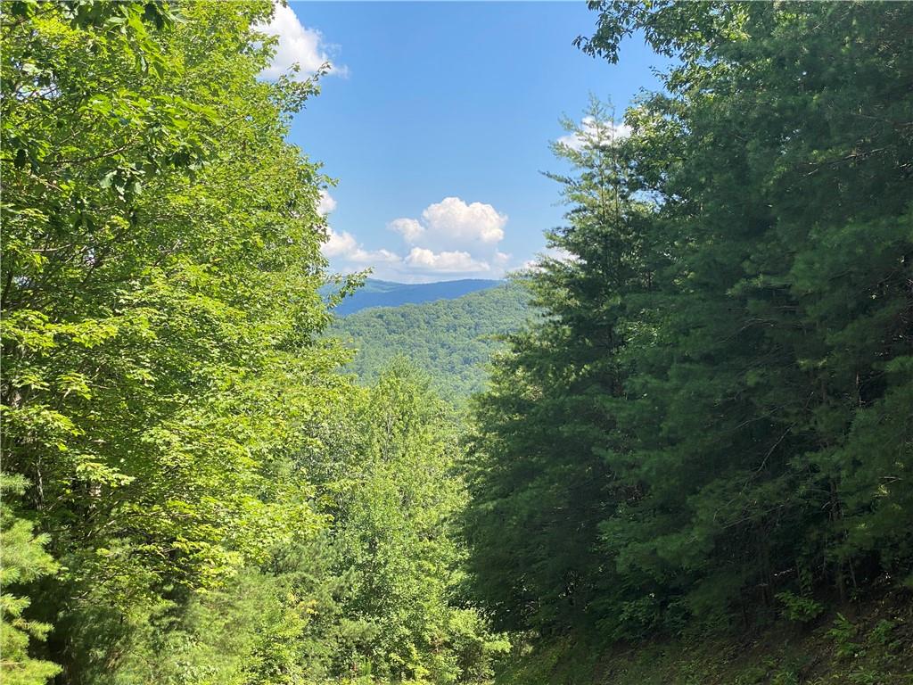 0 Sunrise Ridge Property Photo 4
