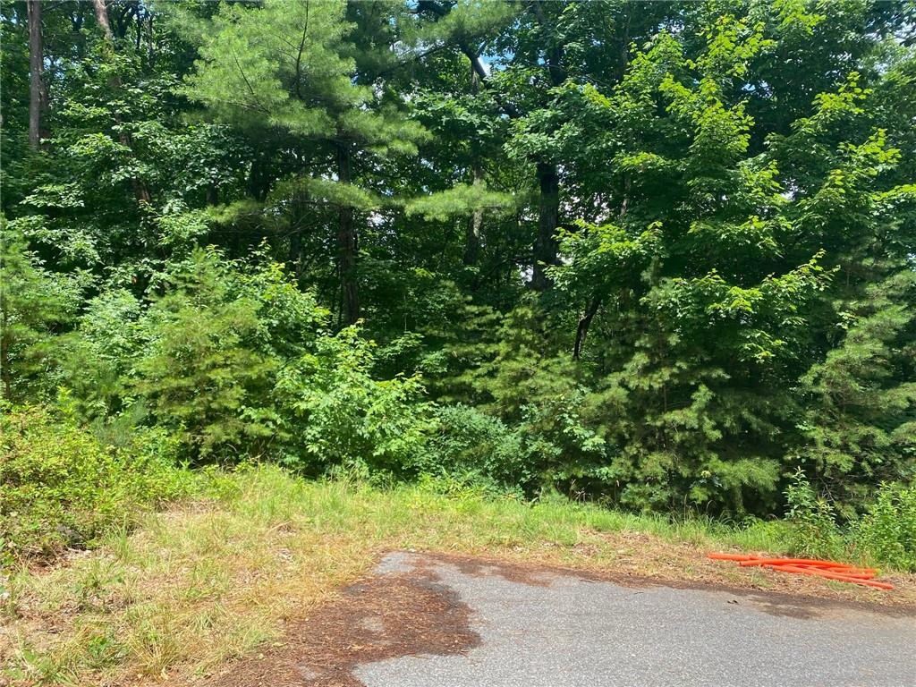 0 Sunrise Ridge Property Photo 6