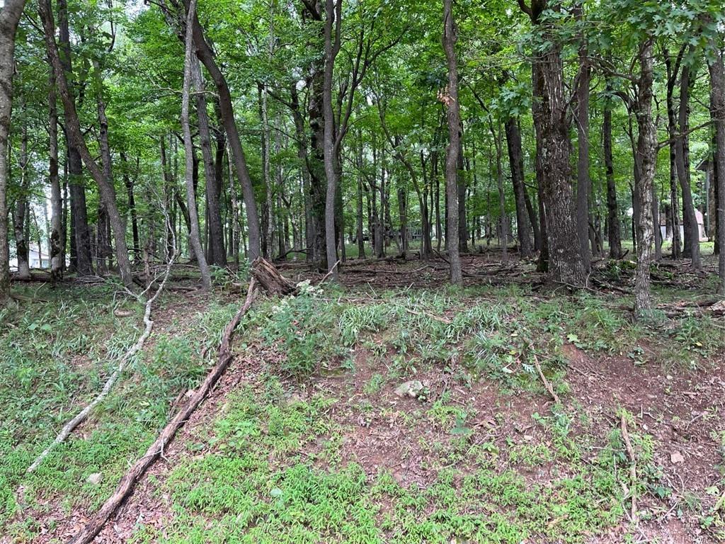 1918 Big Stump Mountain Trail Property Photo 1