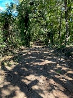 0 Campbellton Road Property Photo 5