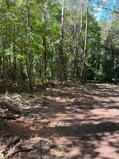 0 Campbellton Road Property Photo 8