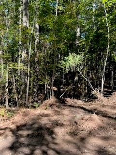 0 Campbellton Road Property Photo 10