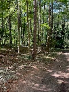 0 Campbellton Road Property Photo 11