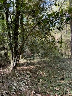 0 Campbellton Road Property Photo 14