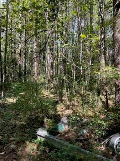 0 Campbellton Road Property Photo 15
