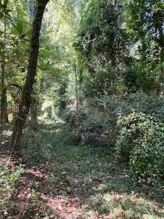 0 Campbellton Road Property Photo 16