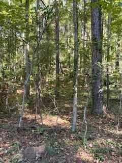 0 Campbellton Road Property Photo 17