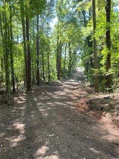 0 Campbellton Road Property Photo 18