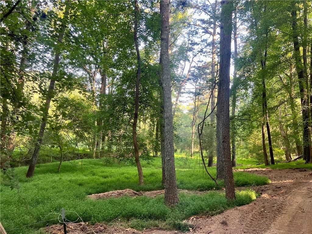 47 Ac Jesse Martin Trail Property Photo 4