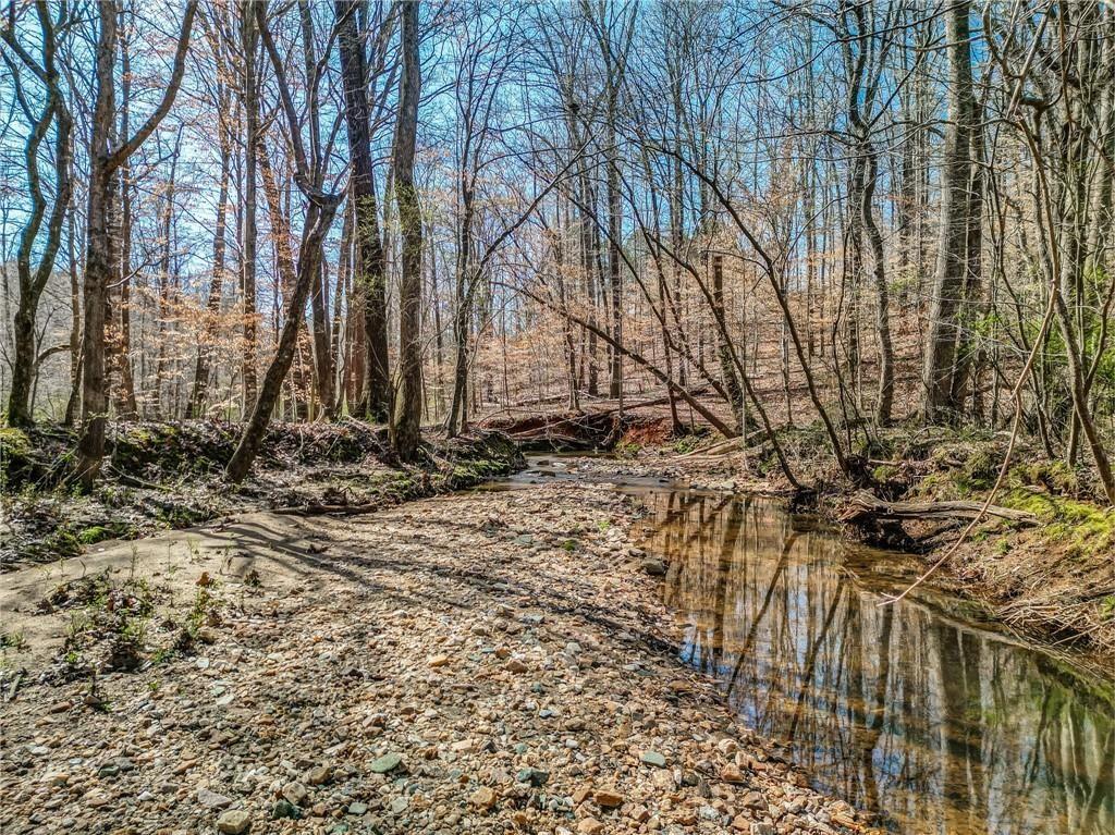 47 Ac Jesse Martin Trail Property Photo 8