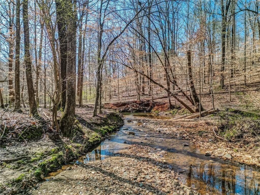 47 Ac Jesse Martin Trail Property Photo 9