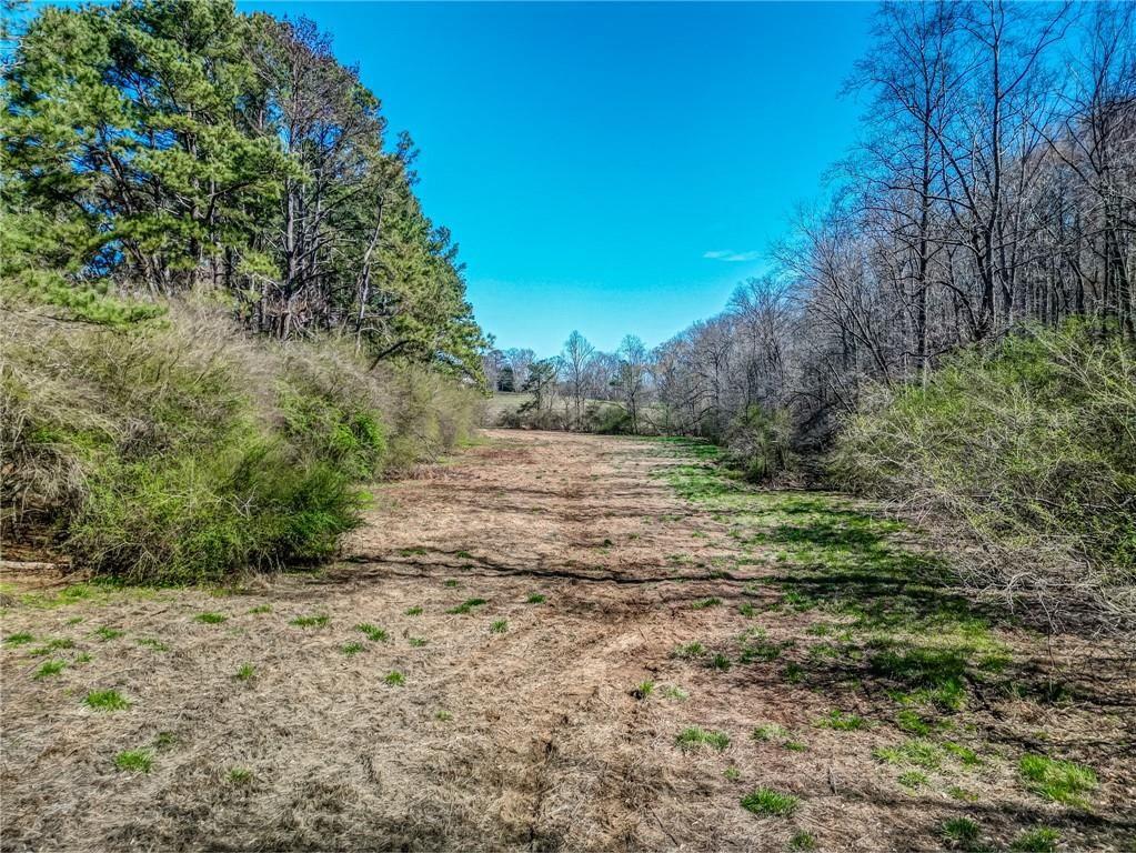 47 Ac Jesse Martin Trail Property Photo 10