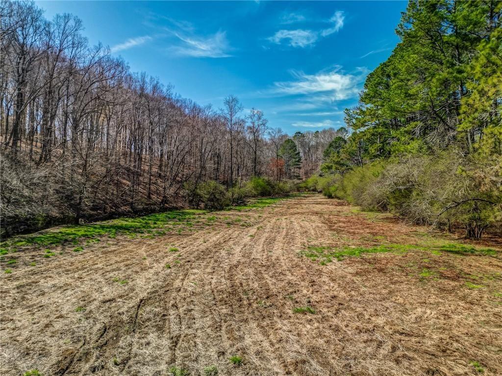 47 Ac Jesse Martin Trail Property Photo 15