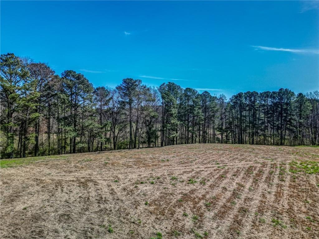47 Ac Jesse Martin Trail Property Photo 19