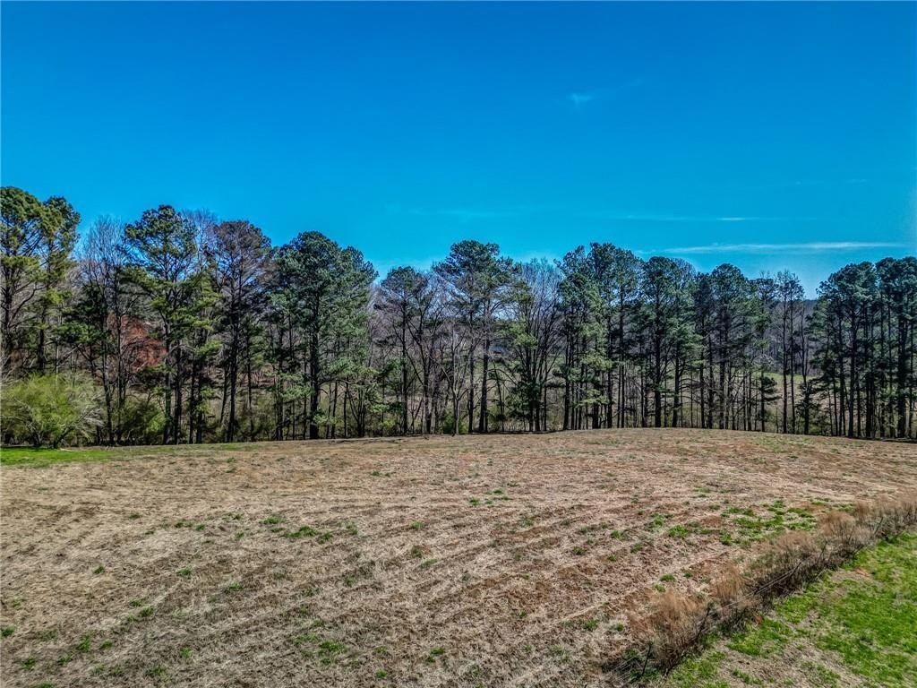 47 Ac Jesse Martin Trail Property Photo 20