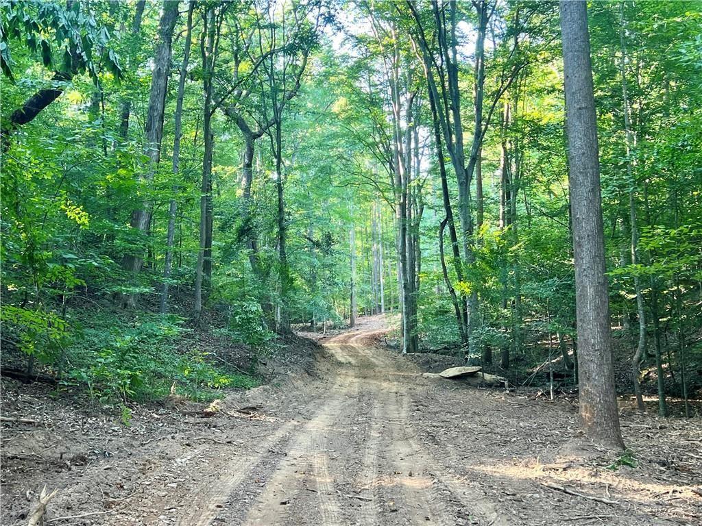 47 Ac Jesse Martin Trail Property Photo 22