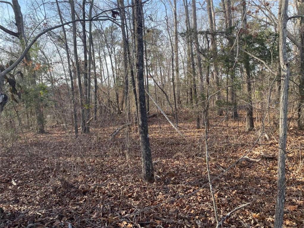 0 Miller Bottom Road Property Photo 6