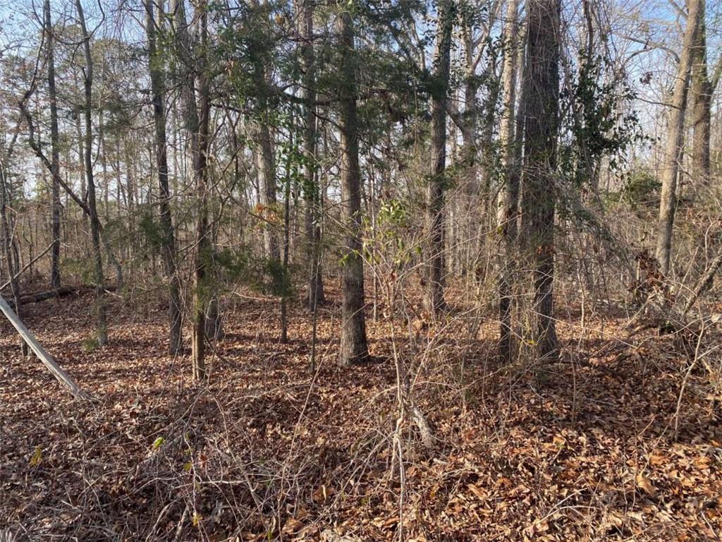 0 Miller Bottom Road Property Photo 7
