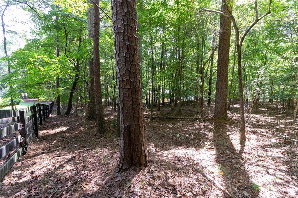 1710 Birmingham Road Property Photo 9