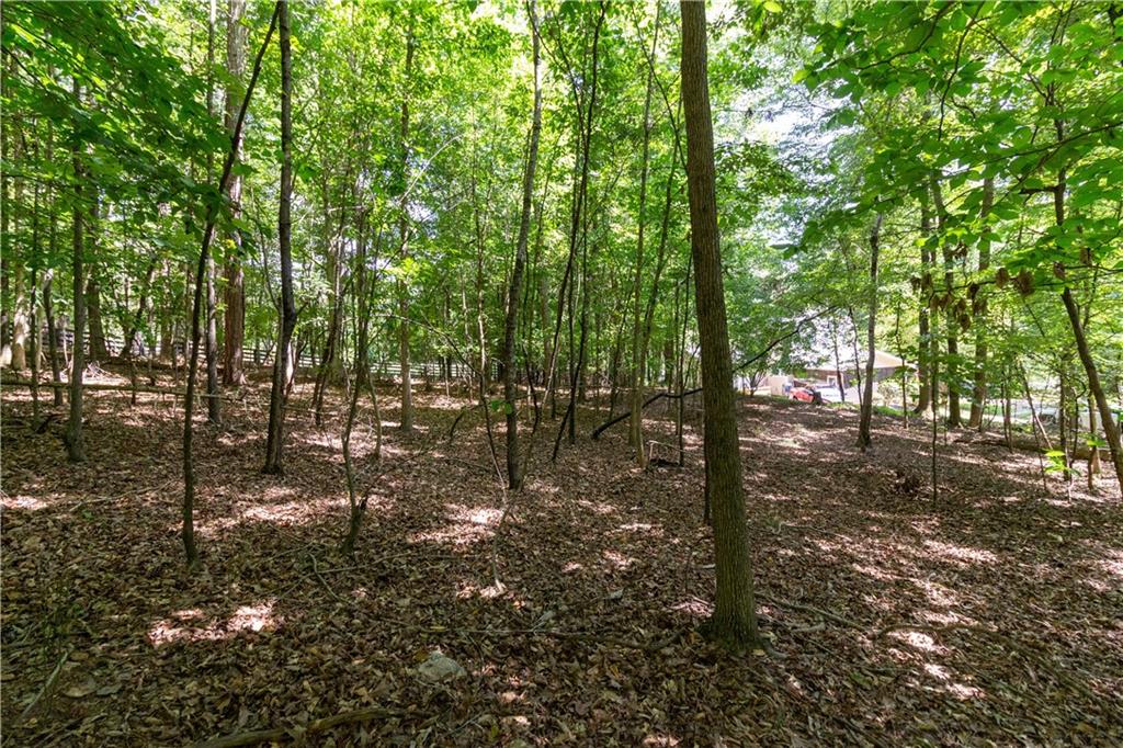 1710 Birmingham Road Property Photo 10