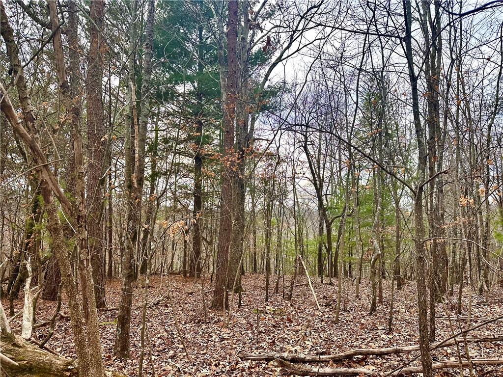 780 Nettle Lane Property Photo 1