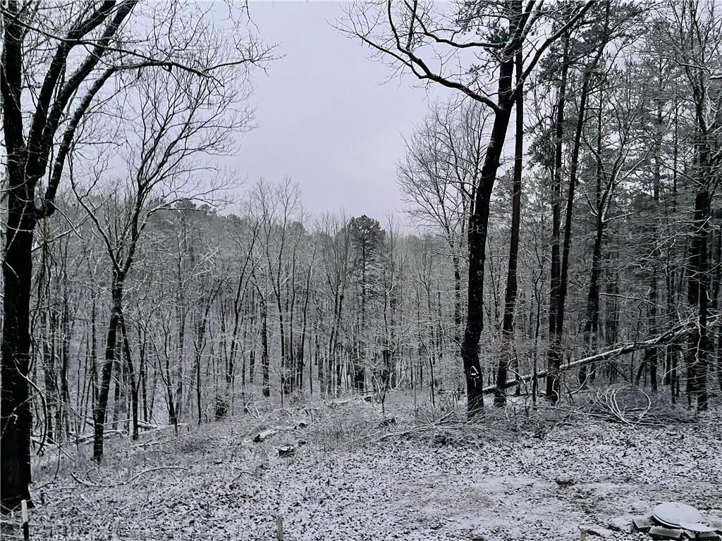 1895 Finale Property Photo 10