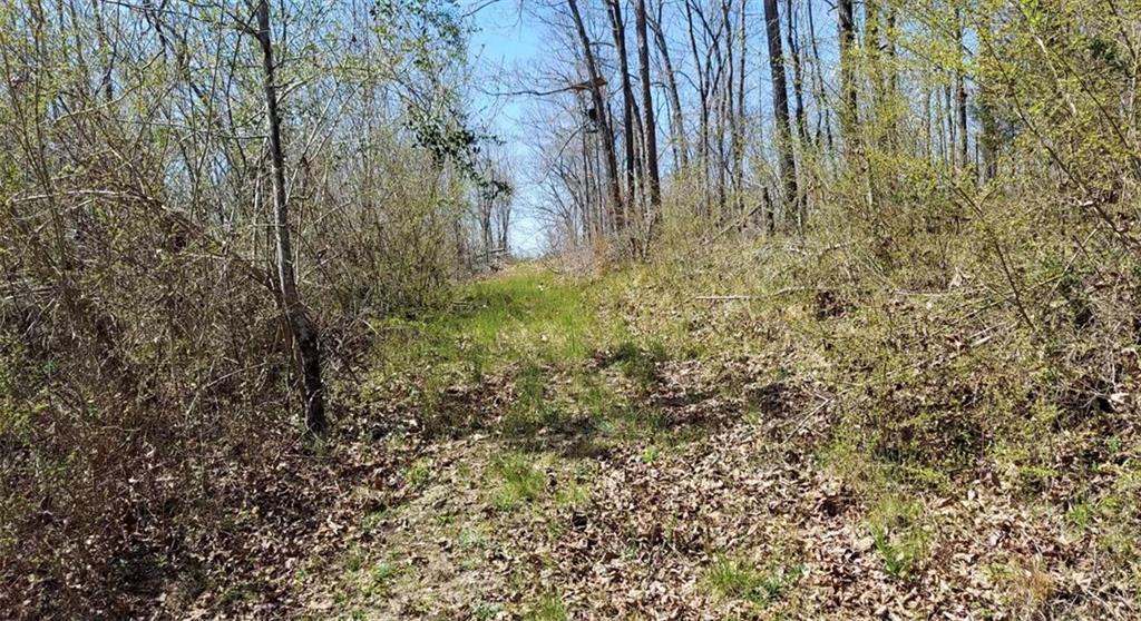 1440 Butler Road Property Photo 23