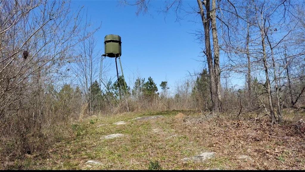 1440 Butler Road Property Photo 25