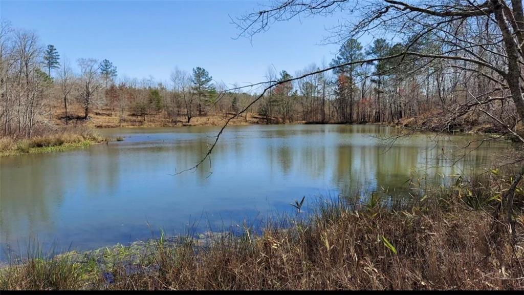 1440 Butler Road Property Photo 27