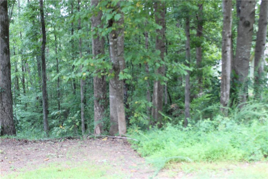 243 Lakeview Terrace Property Photo 2