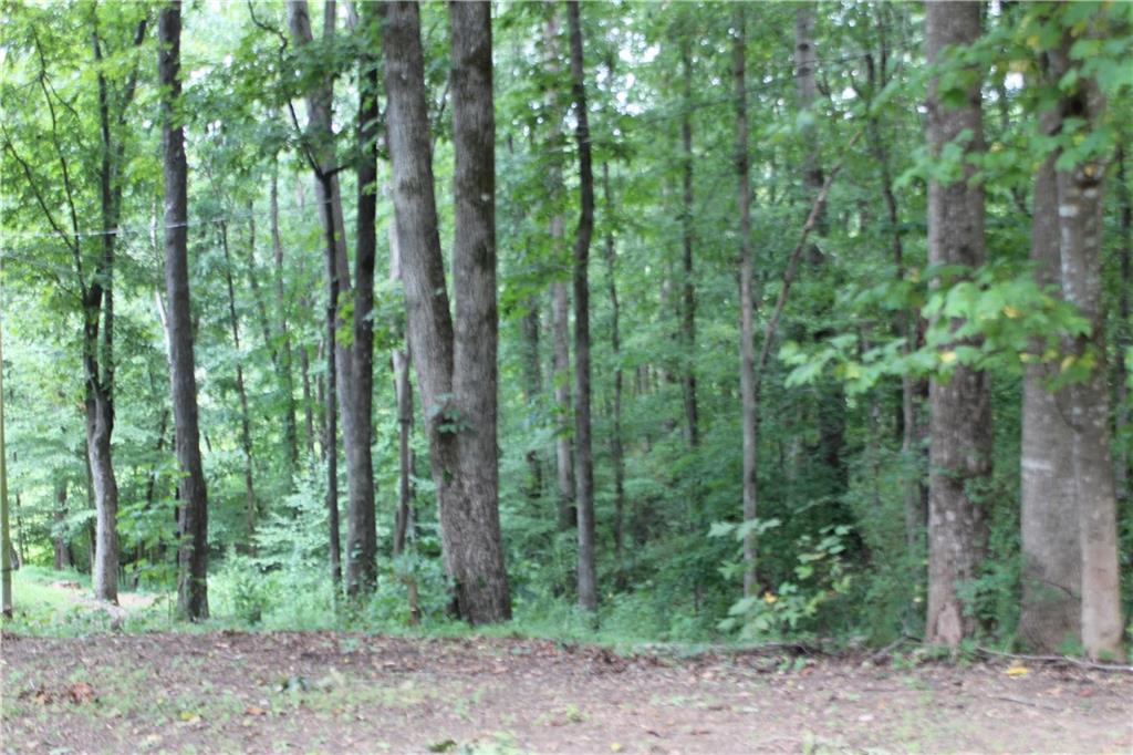 243 Lakeview Terrace Property Photo 3