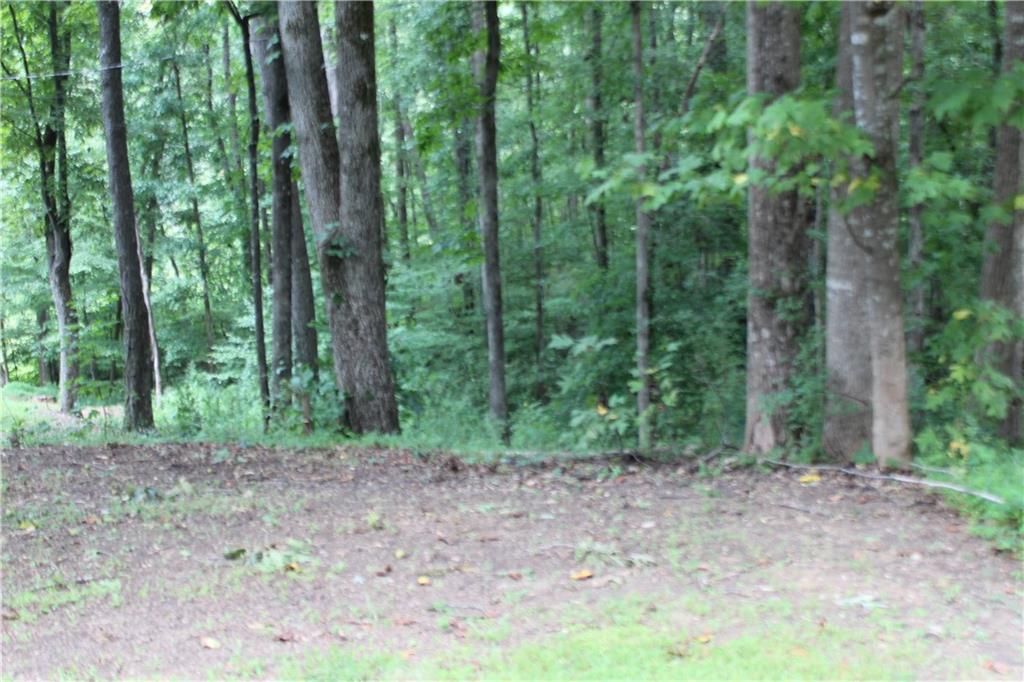 243 Lakeview Terrace Property Photo 4