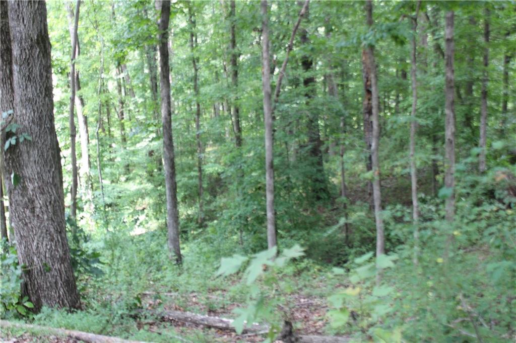 243 Lakeview Terrace Property Photo 5