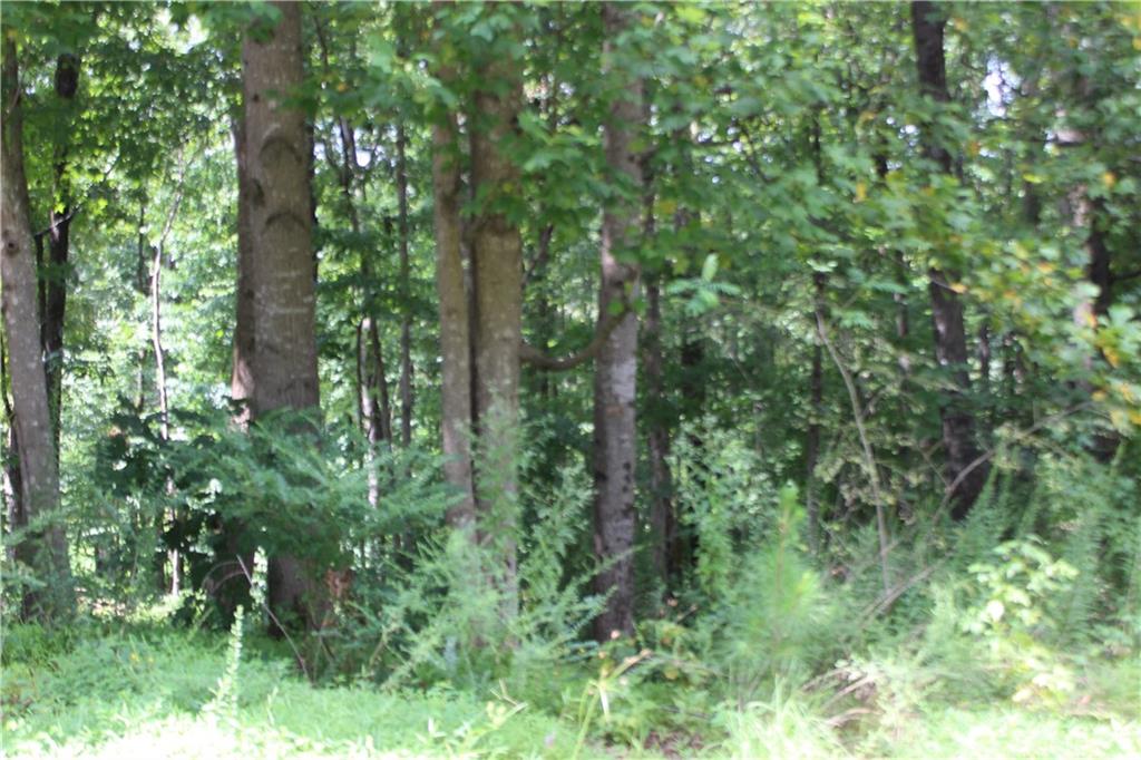 243 Lakeview Terrace Property Photo 6