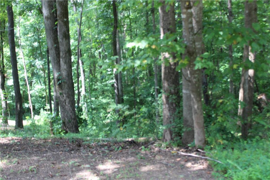 243 Lakeview Terrace Property Photo 8