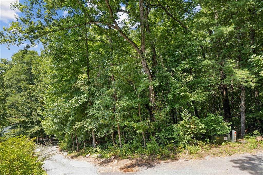137 Ber Weg Property Photo 5