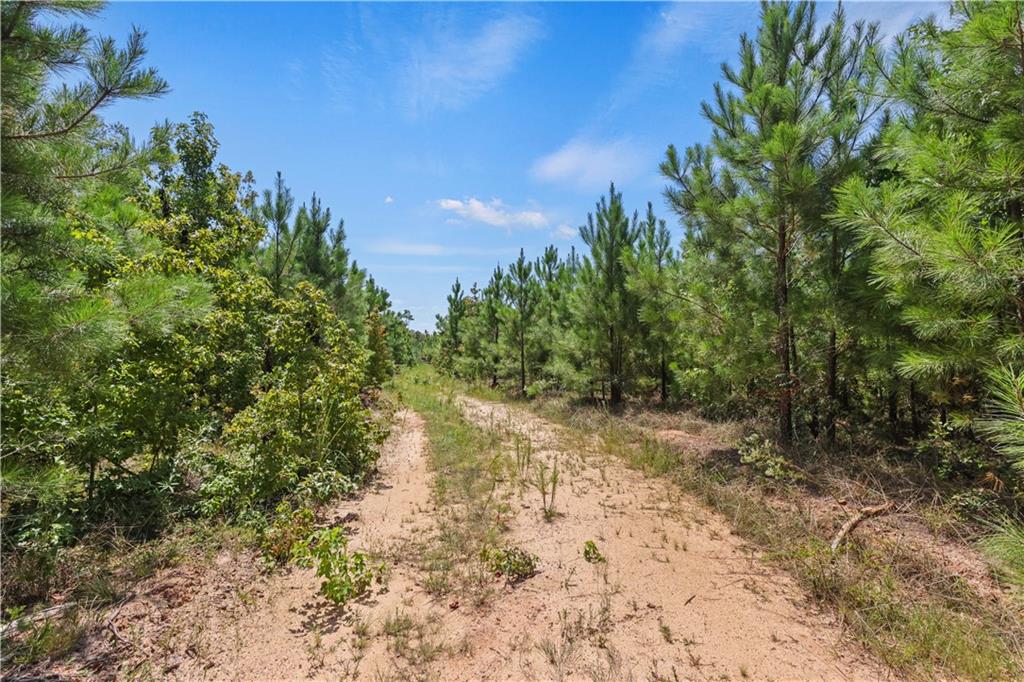 Lot 2 Hulmes Chapel Road Property Photo 15