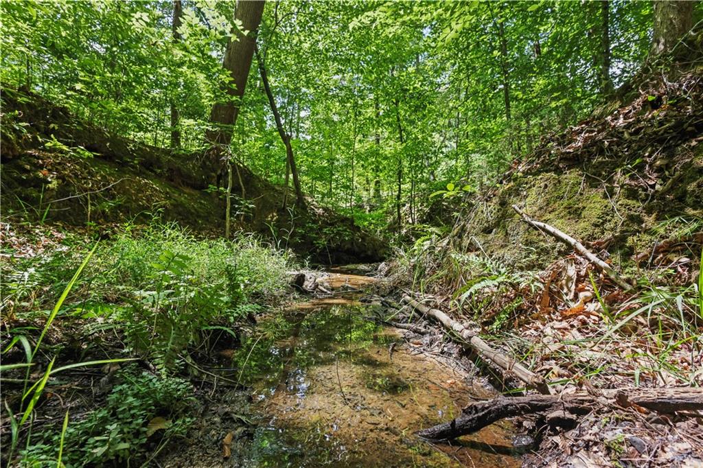 Lot 3 Hulmes Chapel Road Property Photo 14