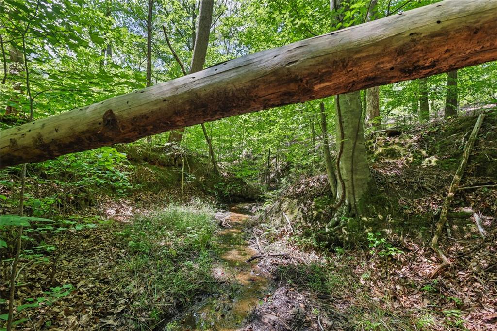 Lot 3 Hulmes Chapel Road Property Photo 15