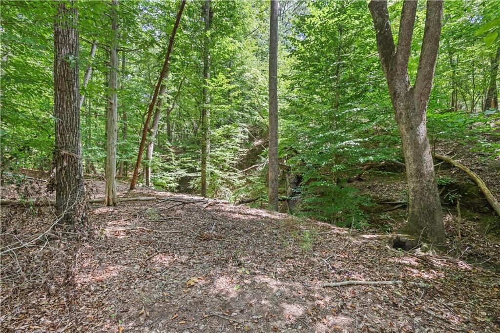 Lot 3 Hulmes Chapel Road Property Photo 16