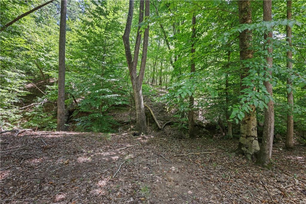 Lot 3 Hulmes Chapel Road Property Photo 17