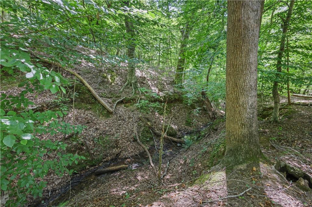 Lot 3 Hulmes Chapel Road Property Photo 18