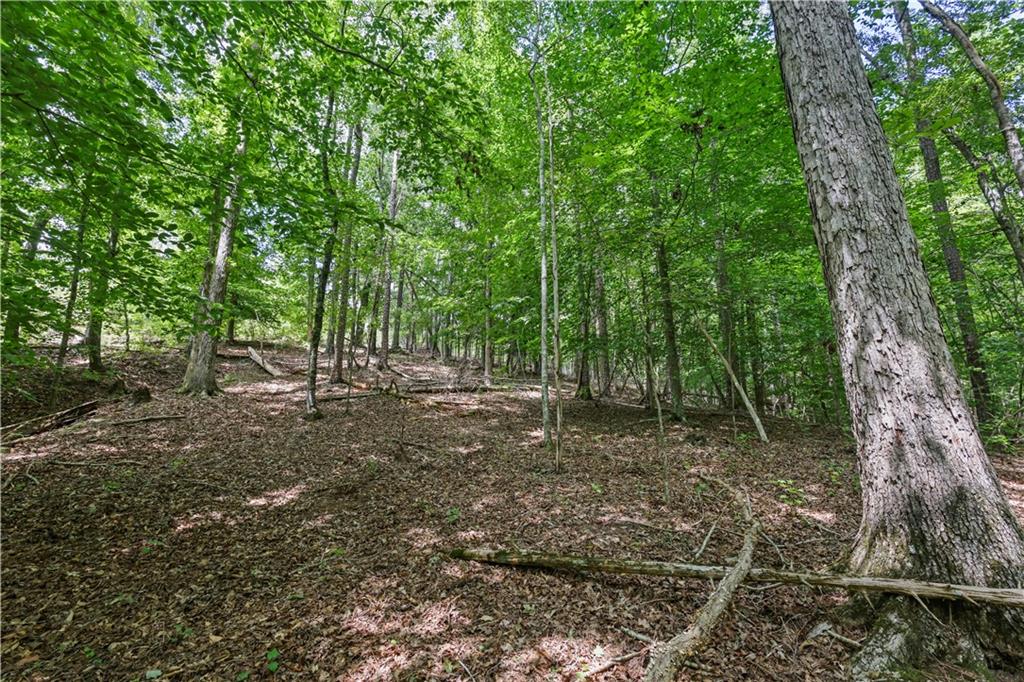 Lot 3 Hulmes Chapel Road Property Photo 19