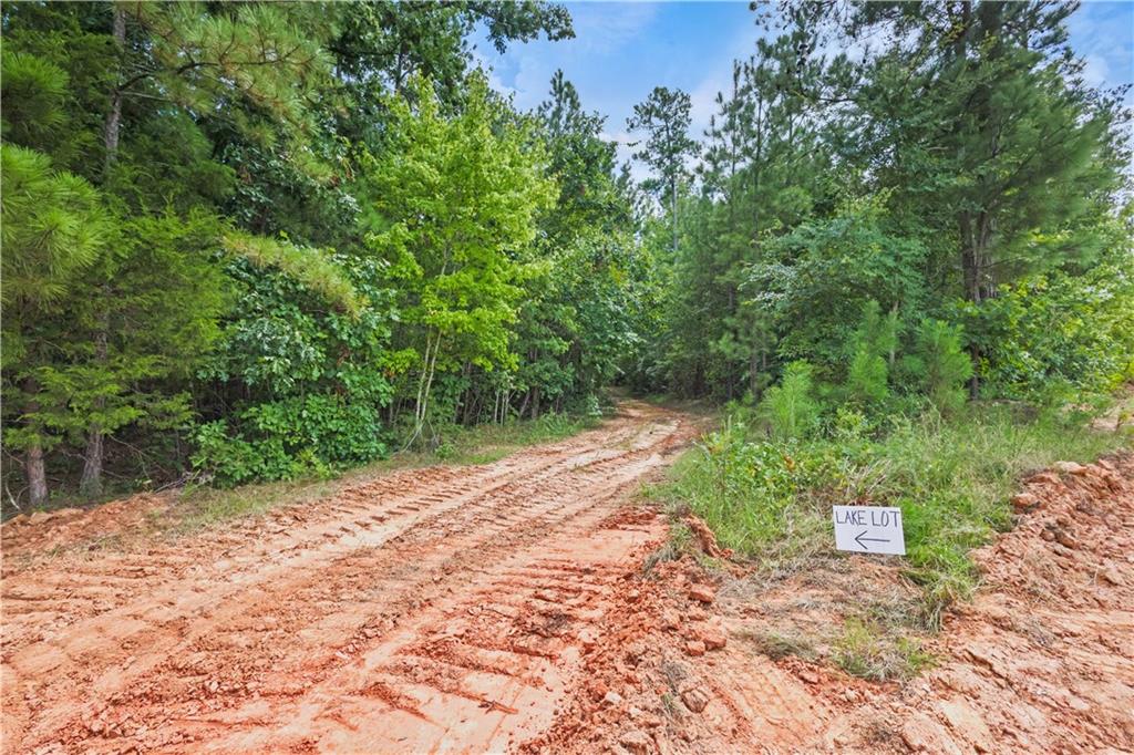 Lot 3 Hulmes Chapel Road Property Photo 22