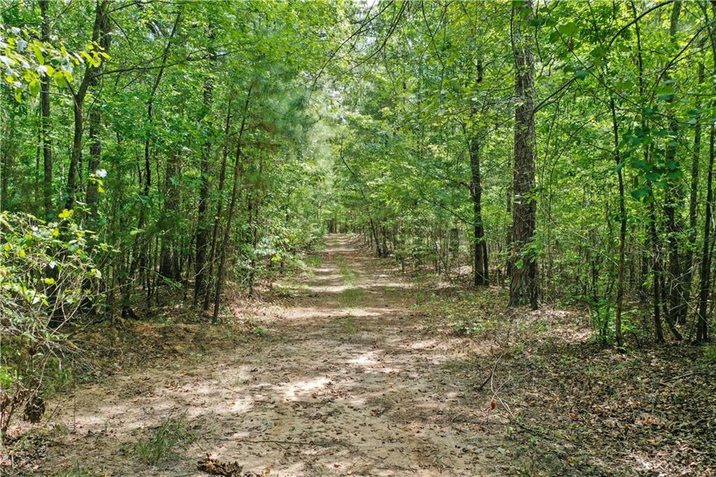 Lot 3 Hulmes Chapel Road Property Photo 23