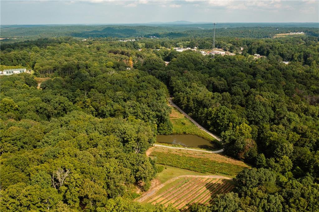 9975 Ball Ground Highway Property Photo 2